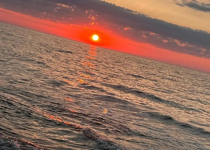 Ameliowy Aparament *